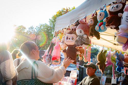 Sleepy Hollow, NY - Oct 2025